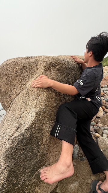 Dogs out v1 beach climb